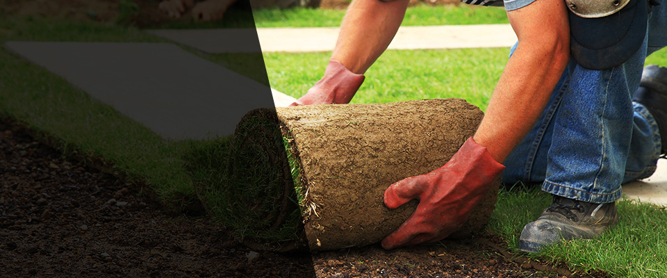 Port Hadlock Landscapers